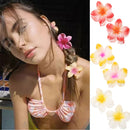 Prendedor Presilha Piranha de Flor Blogueira Praiana