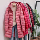 Jaqueta Feminina Puffer Comprida com Capuz