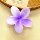 Prendedor Presilha Piranha de Flor Blogueira Praiana