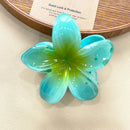 Prendedor Presilha Piranha de Flor Blogueira Praiana